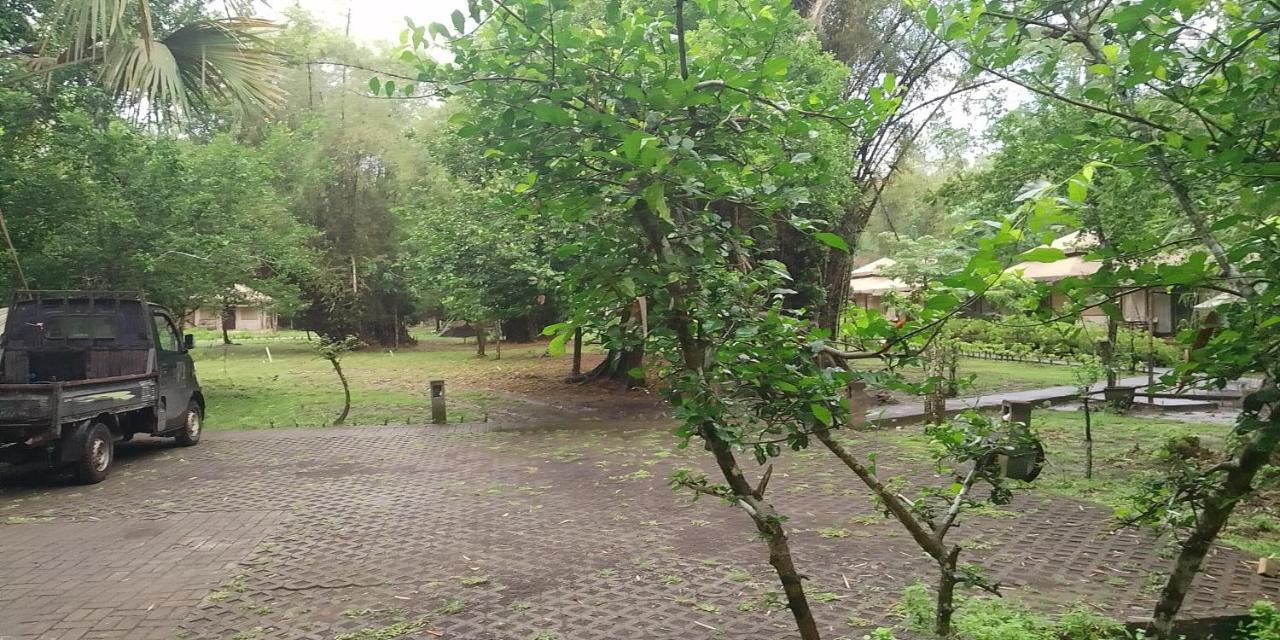 Jawa Jiwa G-Land Resort Dadapan Екстер'єр фото